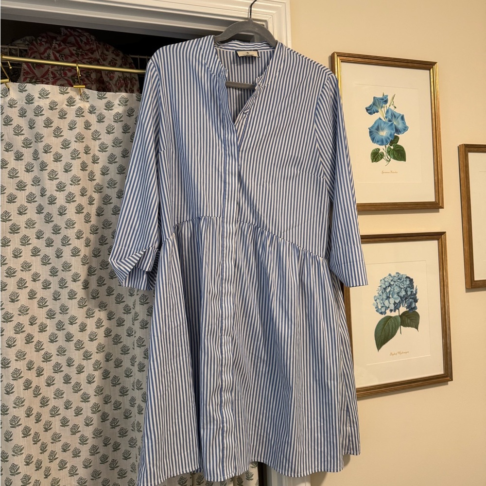 Tuckernuck Blue Stripe Royal Shirt Dress